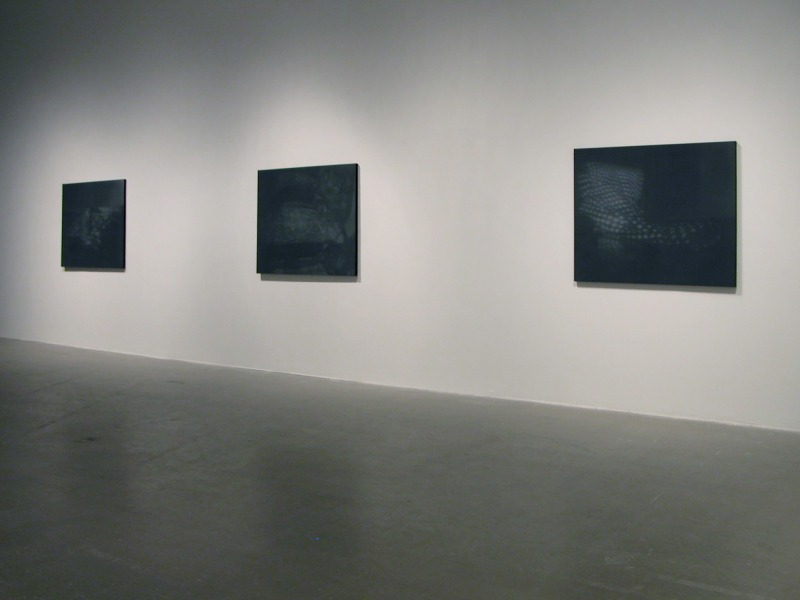 Installation view,&nbsp;Springtide, ICA Philadelphia, Philadelphia, 2005