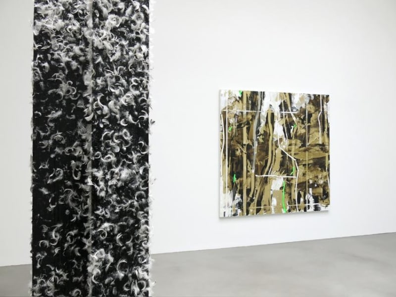 Heimo Zobernig Installation view 20