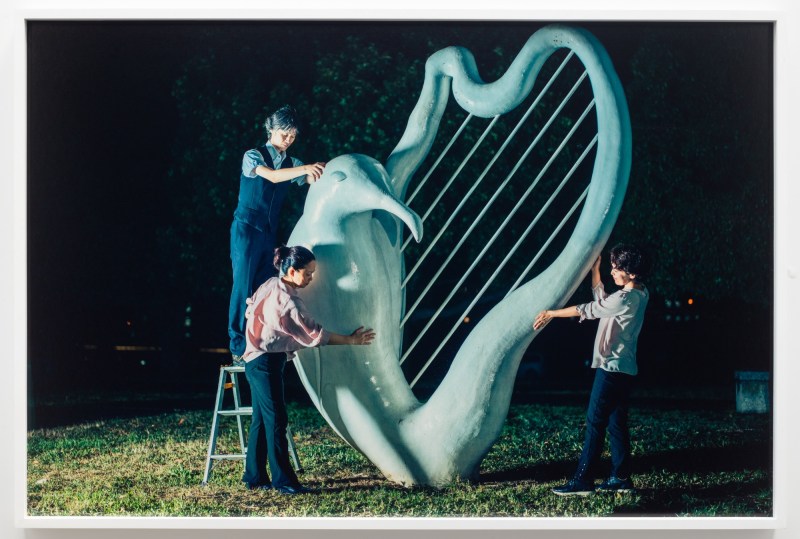 Christian Jankowski, Massage Masters (Seagull Harp)