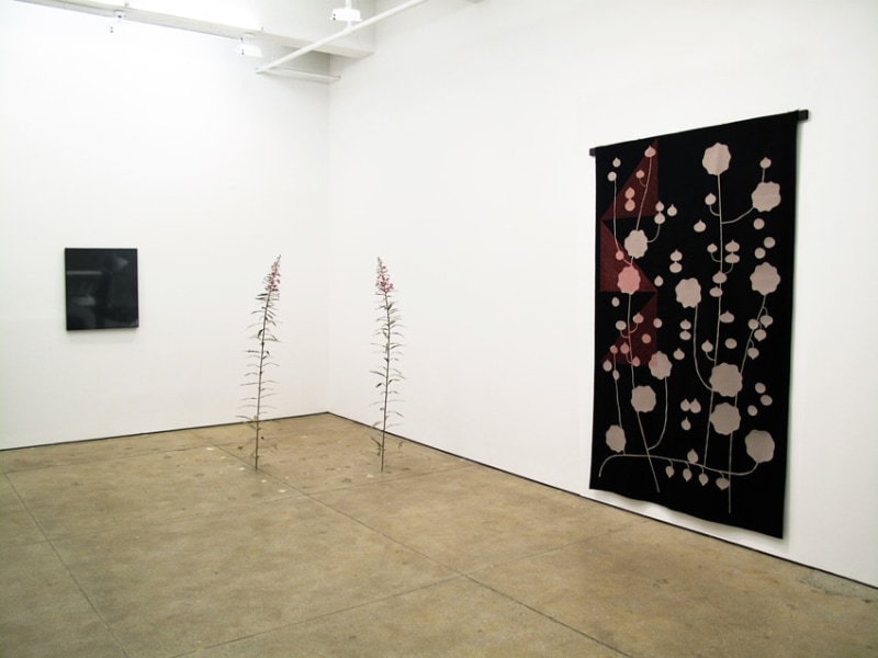 Installation view Friedrich Petzel Gallery