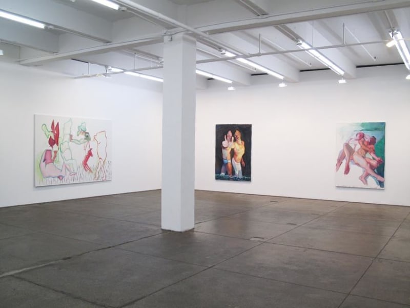 Installation view Friedrich Petzel Gallery