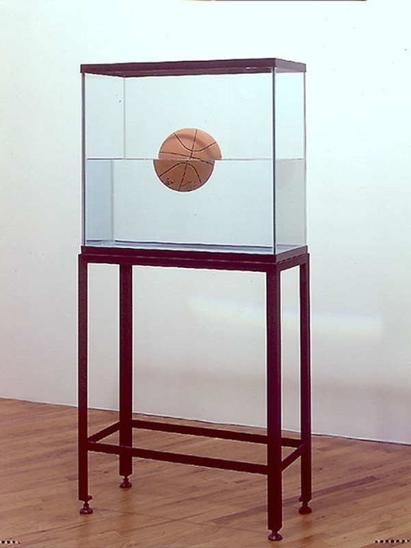 Jeff Koons One Ball 50/50 Tank