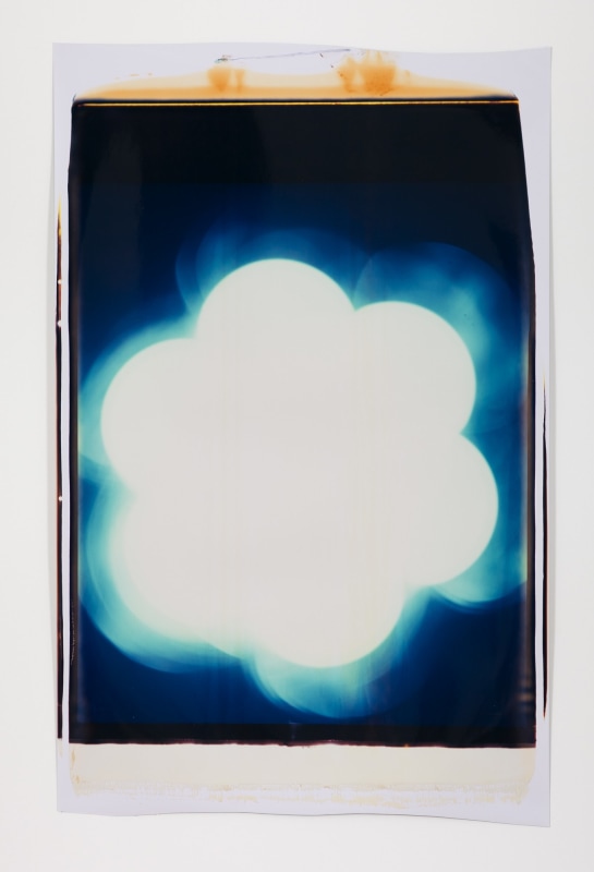 Ross Bleckner, Untitled