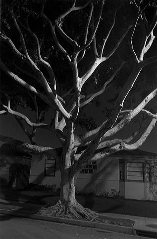 Henry Wessel Night Walk No. 55