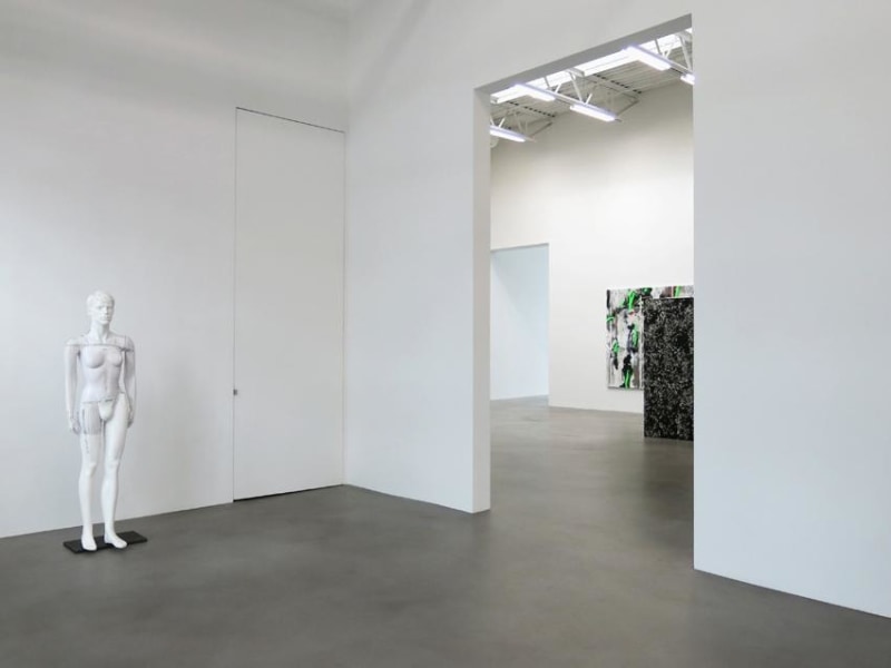 Heimo Zobernig Installation view 1