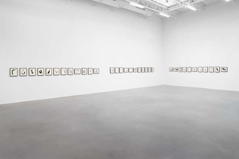 Installation view, Allan McCollum&nbsp;Traces: Past and Present, Petzel, 2022