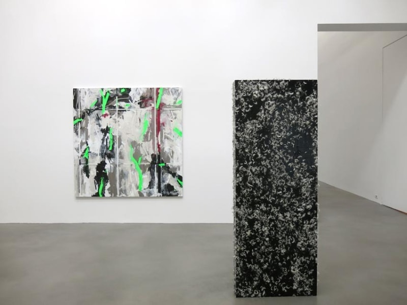 Heimo Zobernig Installation view 9