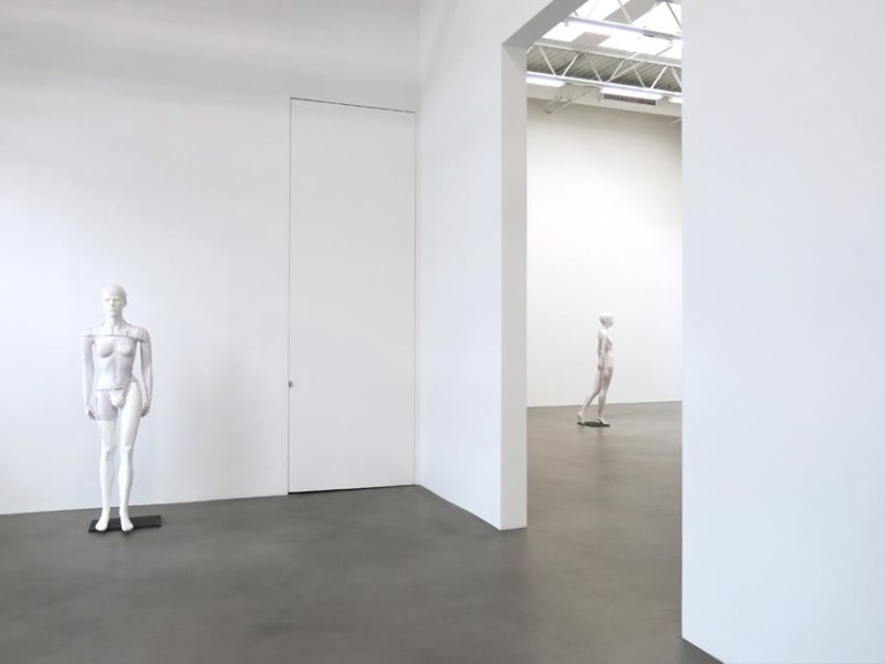 Heimo Zobernig Installation view 2