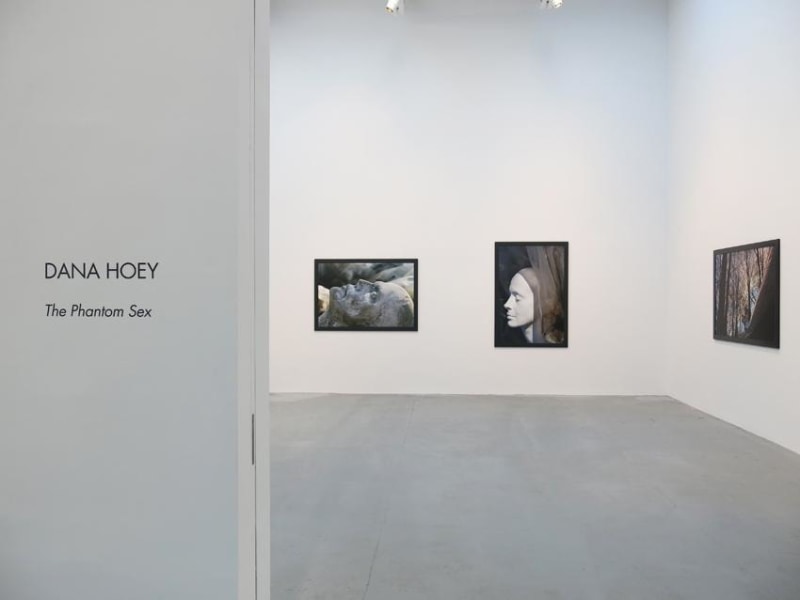 Dana Hoey Installation view 2