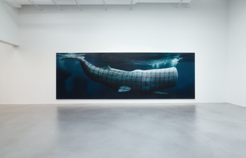 Installation view, Sean Landers,&nbsp;North American Mammals, Petzel, 2014