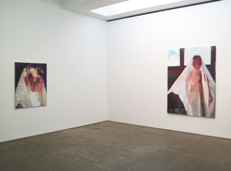 Installation view Friedrich Petzel Gallery