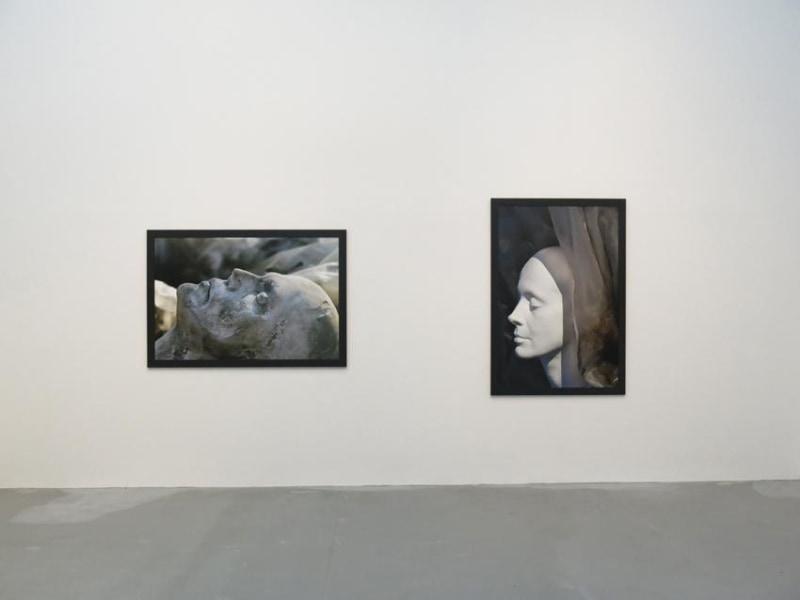 Dana Hoey Installation view 4