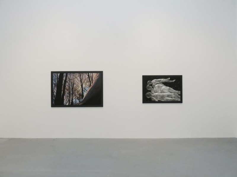 Dana Hoey Installation view 5