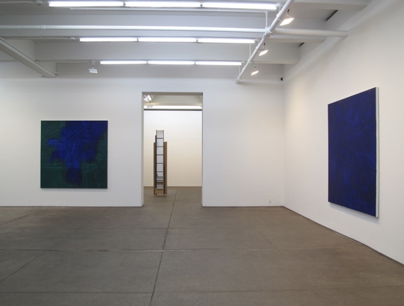 Installation view Friedrich Petzel Gallery, New York