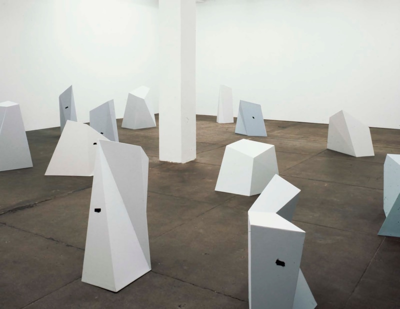 Pinhole Cameras, Petzel Gallery, 2001