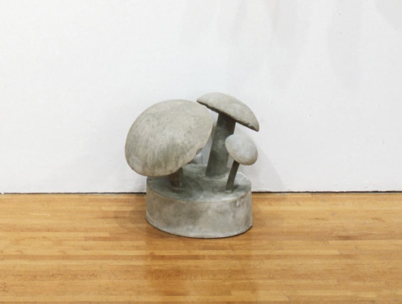 Doorstop (Concrete Mushrooms #1)