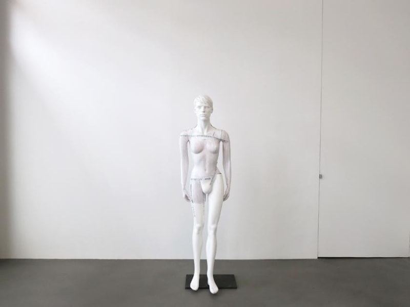 Heimo Zobernig Installation view 3