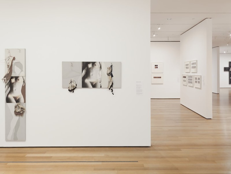 Installation view, Robert Heinecken: Object Matter, The Museum of Modern Art, New York, 2014