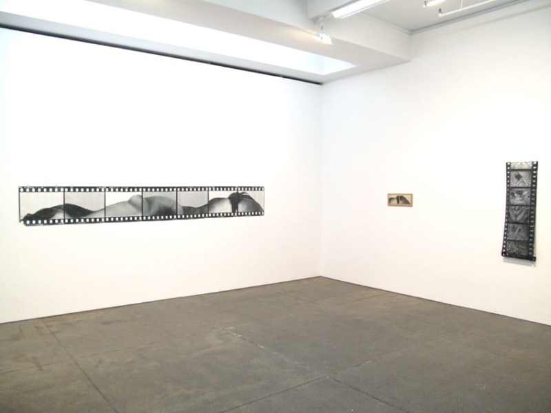 Installation view Friedrich Petzel Gallery