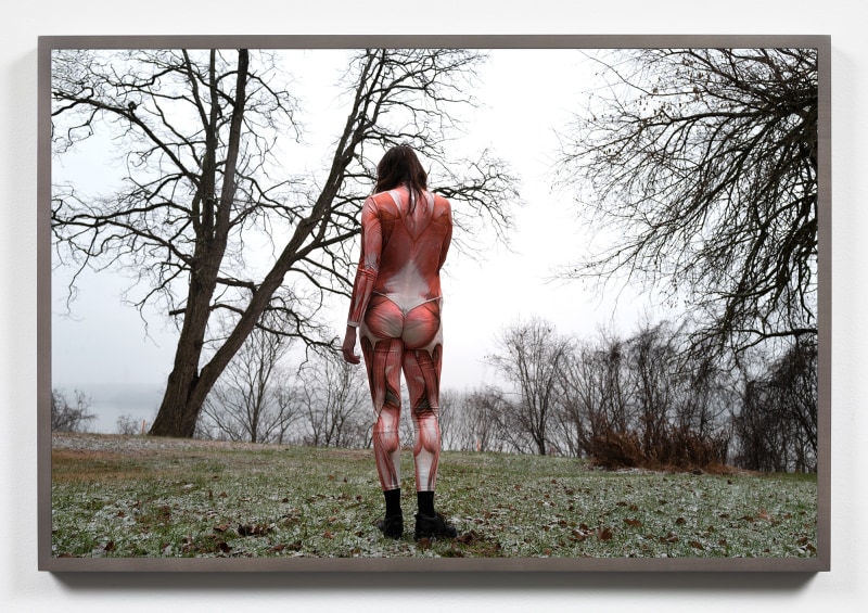 Dana Hoey, Meat Suit