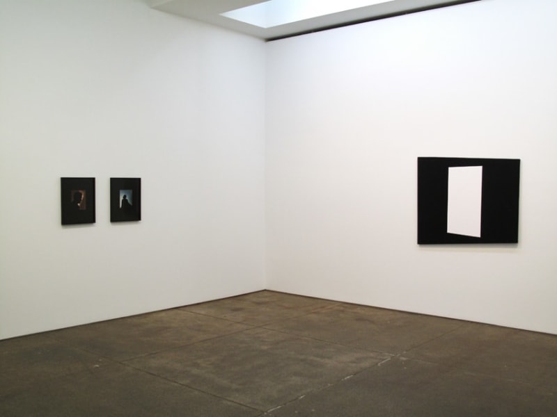 Installation view Friedrich Petzel Gallery