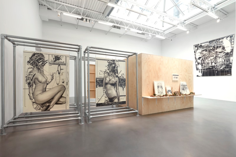 They Live, Petzel Gallery, 2020, Installation view