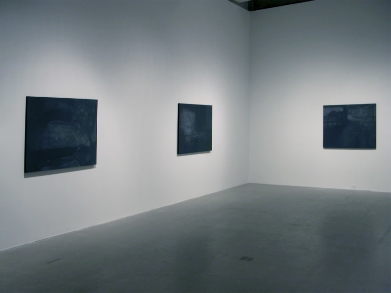 Installation view,&nbsp;Springtide, ICA Philadelphia, Philadelphia, 2005