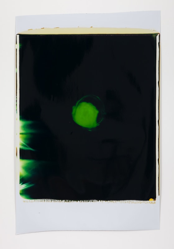 Ross Bleckner, Untitled