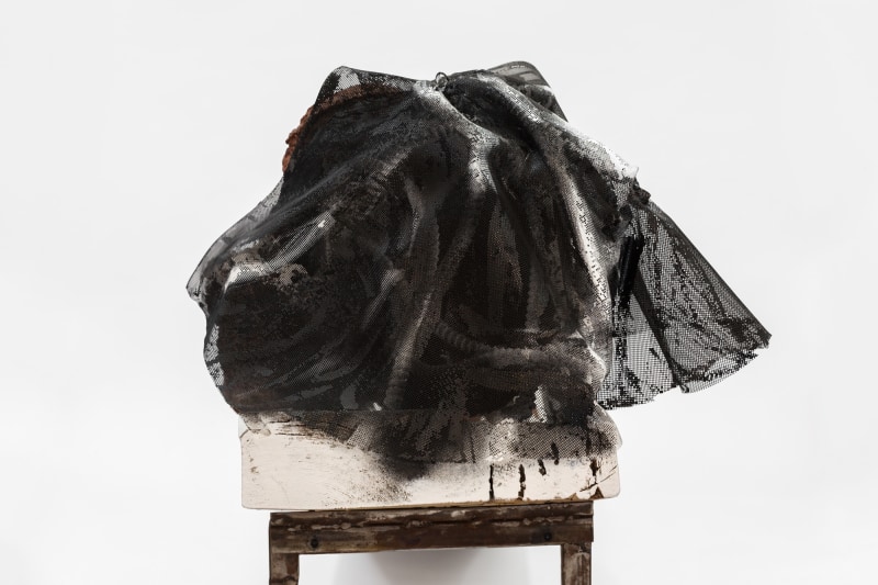 Huma Bhabha, Roxana