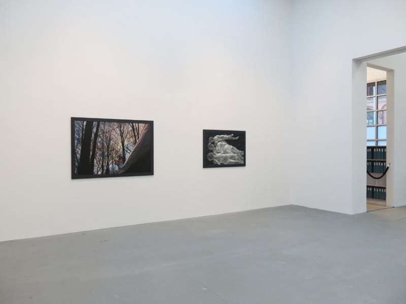 Dana Hoey Installation view 8