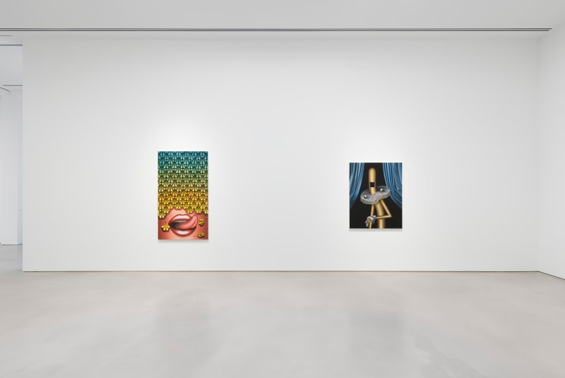 Installation view, Emily Mae Smith,&nbsp;Heretic Lace,&nbsp;Petzel, 2022