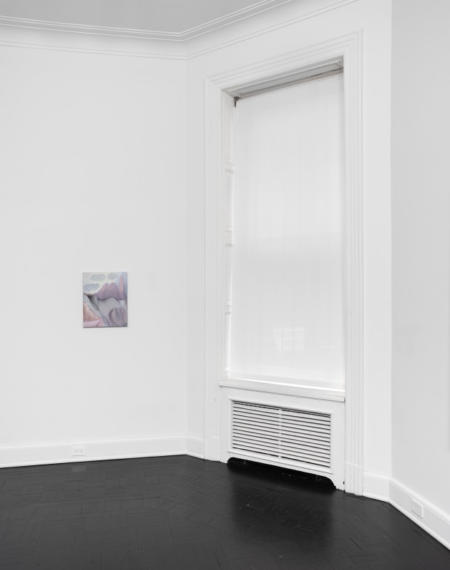 Installation view, Rezi van Lankveld, Soft Sun, Petzel, 2022