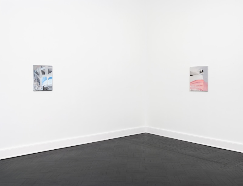 Installation view, Rezi van Lankveld, Soft Sun, Petzel, 2022