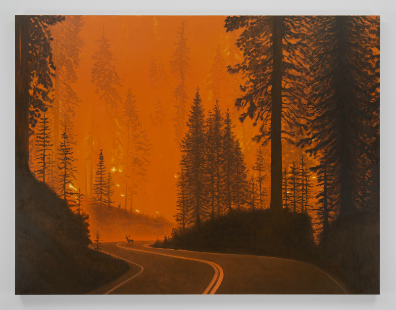 Sean Landers, Wildfire (Mendocino National Forest)