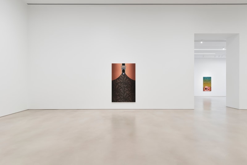 Installation view, Emily Mae Smith,&nbsp;Heretic Lace,&nbsp;Petzel, 2022