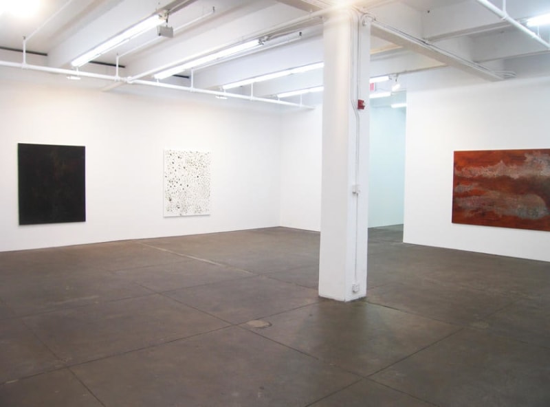 Georg Herold Installation view