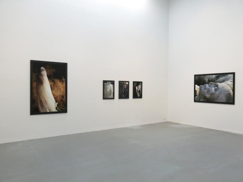 Dana Hoey Installation view 6