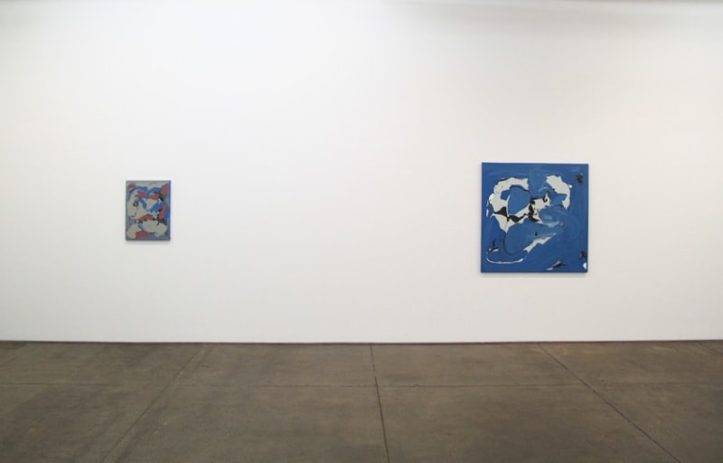 Installation view Friedrich Petzel Gallery