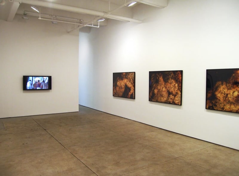 Andrea Fraser Installation view