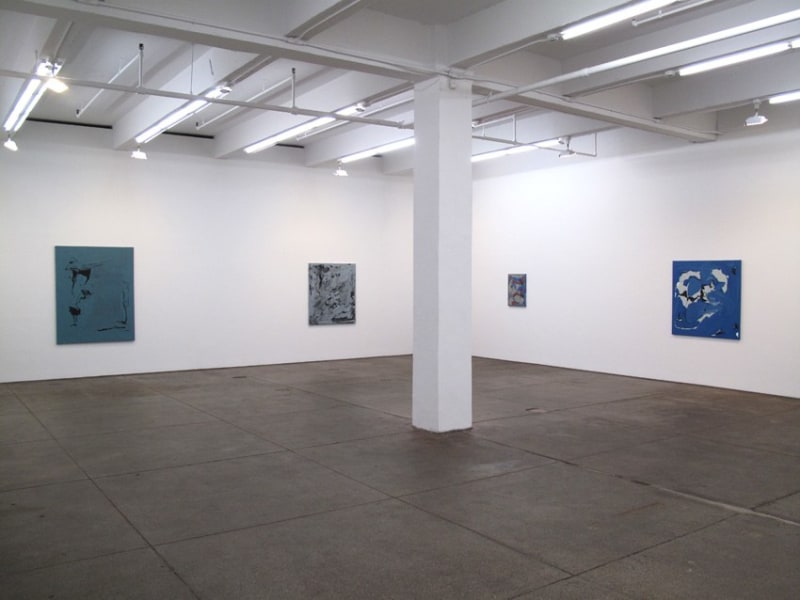 Installation view Friedrich Petzel Gallery