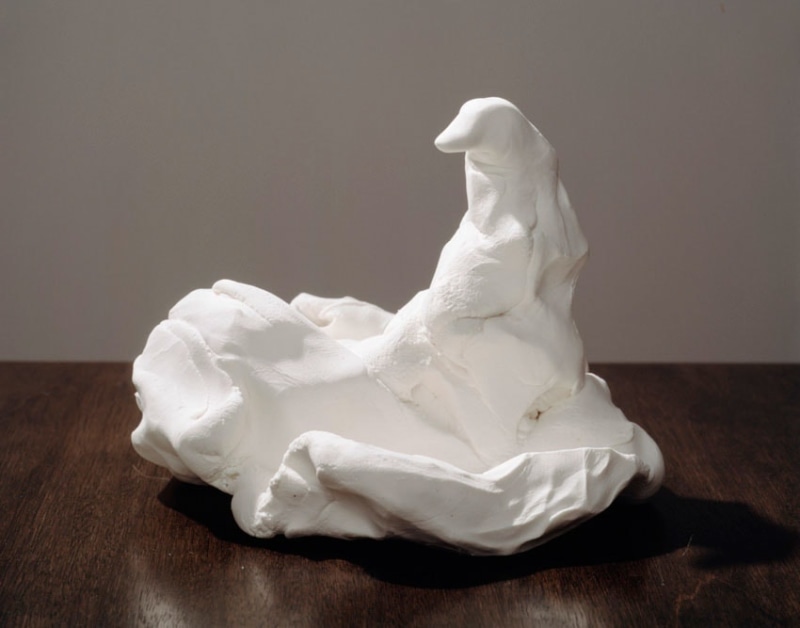 Reclining Bird 2011