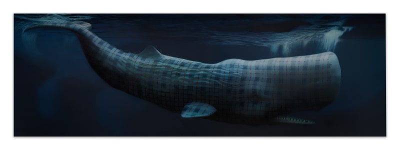 The Whale, 2023, Oil on linen