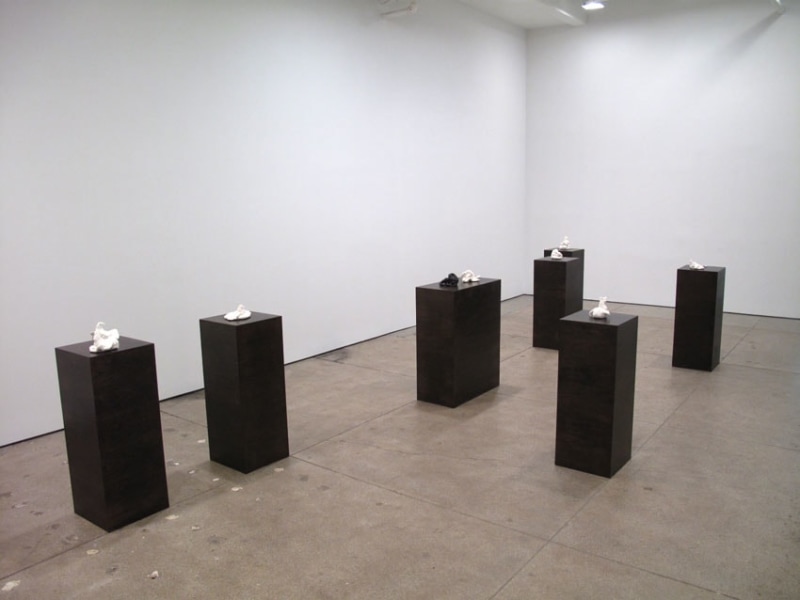 Installation view Friedrich Petzel Gallery