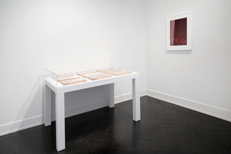 Installation shot of Strange New Beauty at Petzel. the rose tinted portrait of Barron trump hangs on the right hand wall. on a table covered in plexi glass are nine engraved plates.