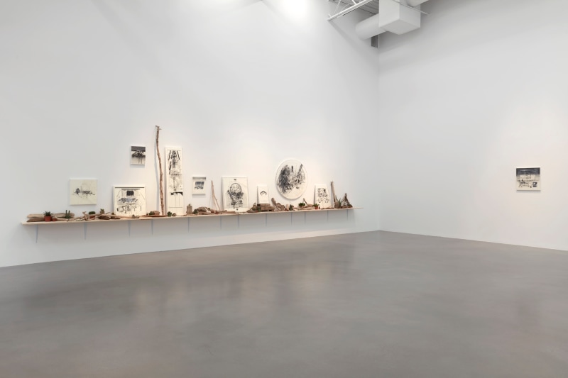 Hiroki Tsukuda  They Live  Installation view  2020