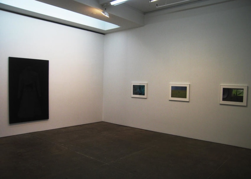 Troy Brauntuch Installation view