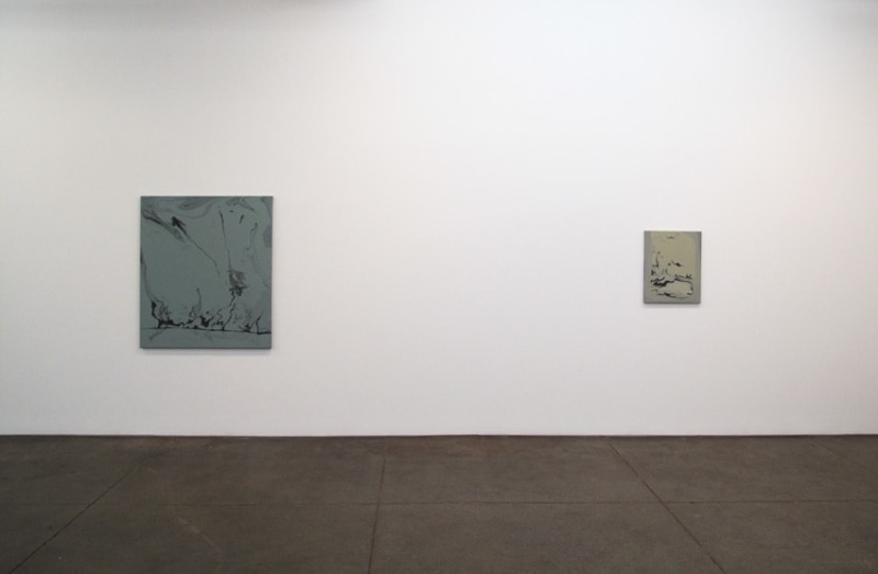 Installation view Friedrich Petzel Gallery