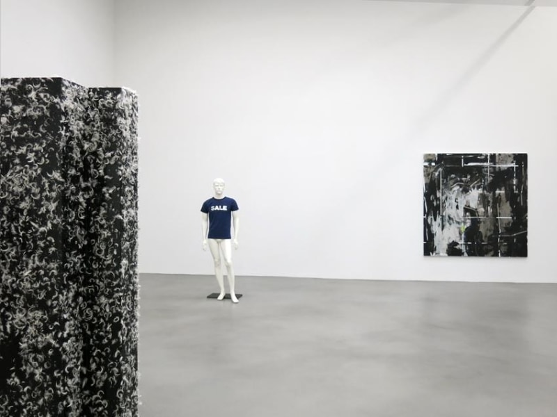 Heimo Zobernig Installation view 25