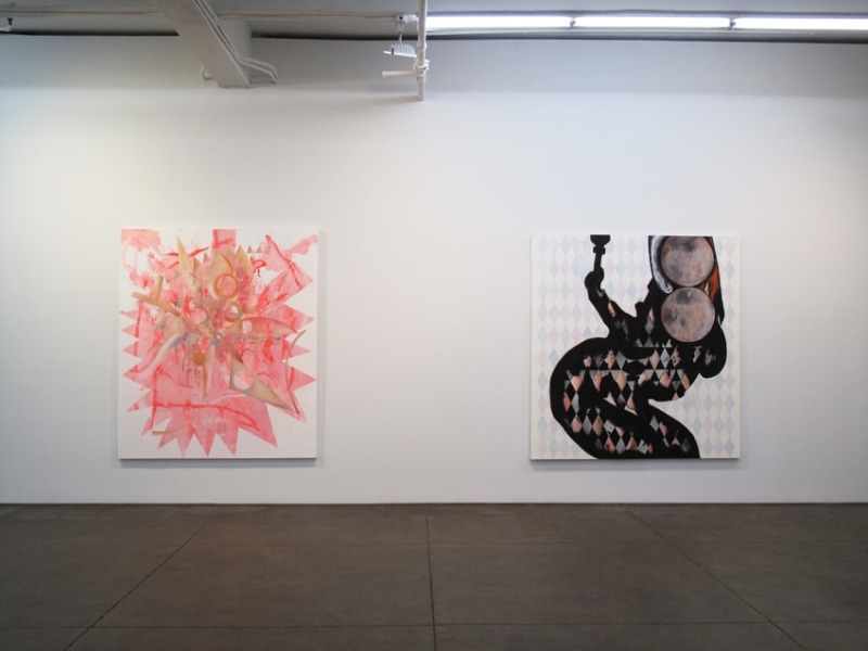 Installation view Friedrich Petzel Gallery