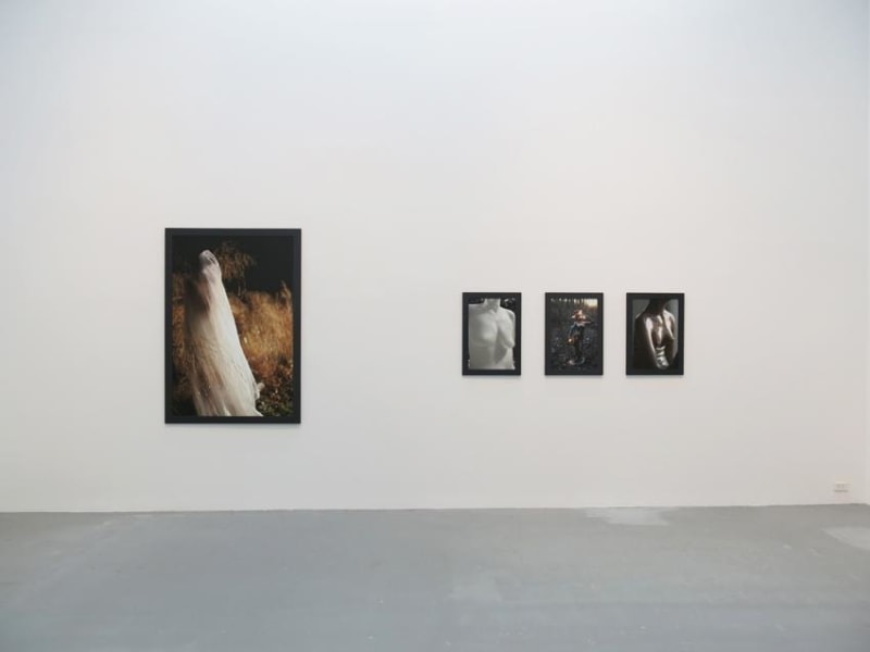 Dana Hoey Installation view 3